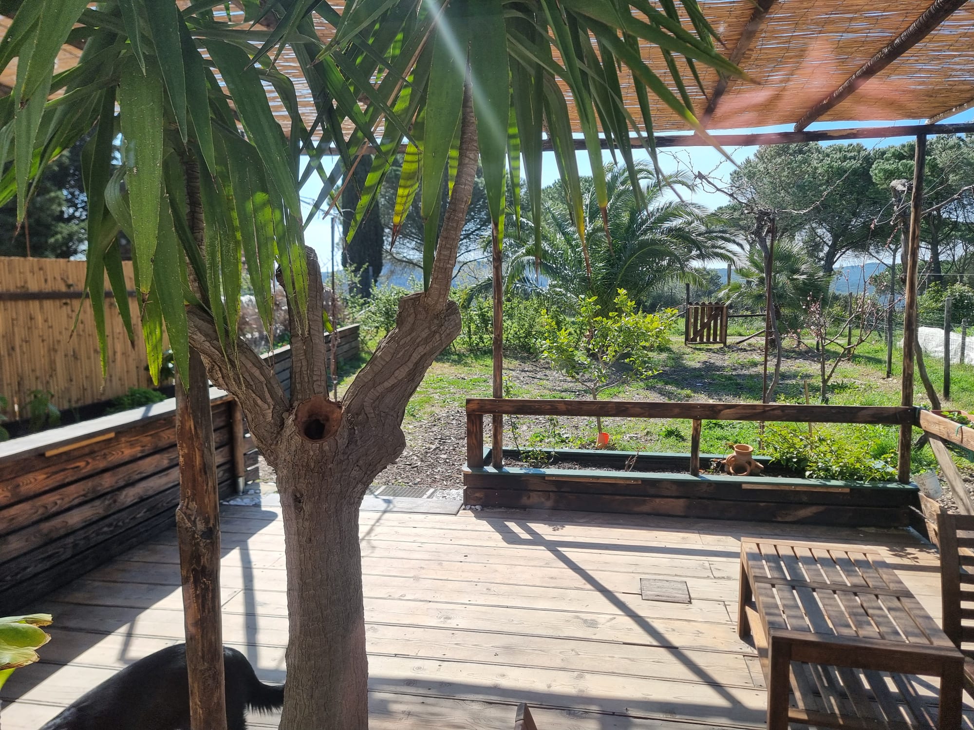 Veranda e giardino tropicale di Casa Marie