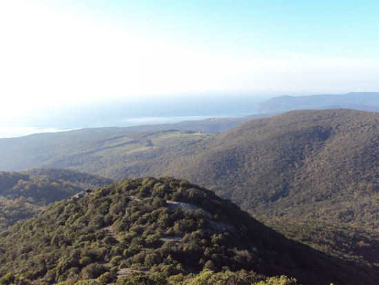 Panorama colline livornesi e mare